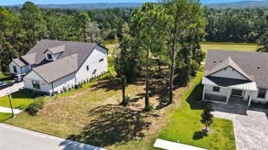 Tucked away inside one of the top rated Golf Course communities on Southern Hills Plantation Club in Florida - for sale on GolfHomes.com, golf home, golf lot