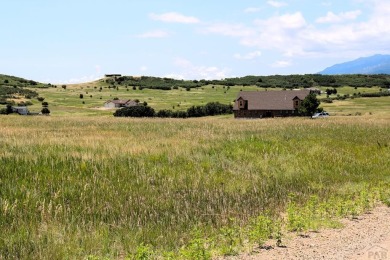 WoW! What a perfect lot to build your dream home with amazing on Hollydot Golf Course in Colorado - for sale on GolfHomes.com, golf home, golf lot