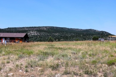 WoW! What a perfect lot to build your dream home with amazing on Hollydot Golf Course in Colorado - for sale on GolfHomes.com, golf home, golf lot