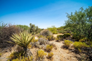 Stunning custom 1 acre lot located in Troon North in the private on Troon North Golf Club  in Arizona - for sale on GolfHomes.com, golf home, golf lot