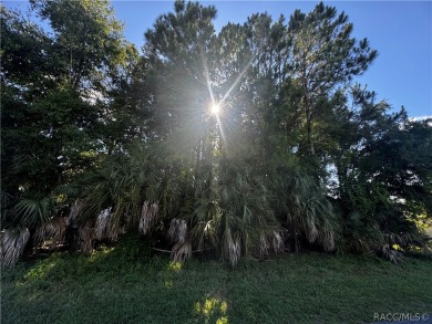 Nestled in a serene locale adjacent to the breathtaking on Plantation Inn and Golf Resort  in Florida - for sale on GolfHomes.com, golf home, golf lot