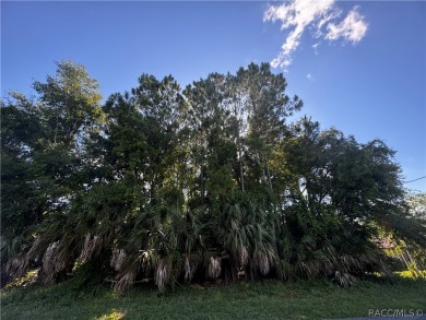 Nestled in a serene locale adjacent to the breathtaking on Plantation Inn and Golf Resort  in Florida - for sale on GolfHomes.com, golf home, golf lot