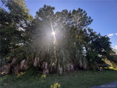 Nestled in a serene locale adjacent to the breathtaking on Plantation Inn and Golf Resort  in Florida - for sale on GolfHomes.com, golf home, golf lot