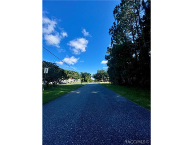 Nestled in a serene locale adjacent to the breathtaking on Plantation Inn and Golf Resort  in Florida - for sale on GolfHomes.com, golf home, golf lot