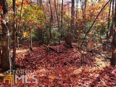 Breathtaking Lot in Waterfall at Lake Burton - A Premier Setting on Waterfall Country Club in Georgia - for sale on GolfHomes.com, golf home, golf lot