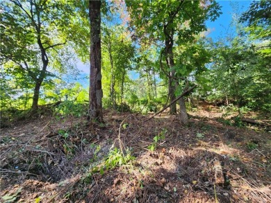 Golfer's Paradise! Build your beautiful dream home on this on  in Arkansas - for sale on GolfHomes.com, golf home, golf lot