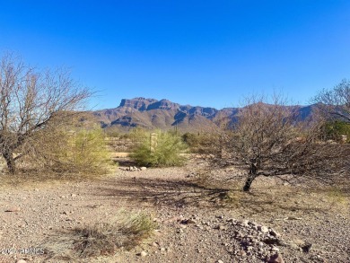 Build your dream desert home looking at the stunning on Superstition Mountain Club - Lost Gold in Arizona - for sale on GolfHomes.com, golf home, golf lot