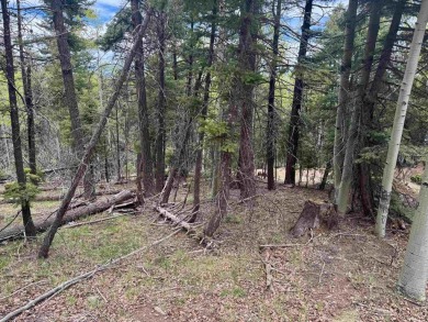 Flagged corners!  This is a beautiful lot in a super location on Angel Fire Resort Country Club in New Mexico - for sale on GolfHomes.com, golf home, golf lot
