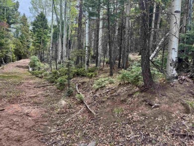 Flagged corners!  This is a beautiful lot in a super location on Angel Fire Resort Country Club in New Mexico - for sale on GolfHomes.com, golf home, golf lot