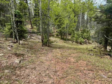 Flagged corners!  This is a beautiful lot in a super location on Angel Fire Resort Country Club in New Mexico - for sale on GolfHomes.com, golf home, golf lot