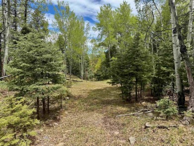 Flagged corners!  This is a beautiful lot in a super location on Angel Fire Resort Country Club in New Mexico - for sale on GolfHomes.com, golf home, golf lot
