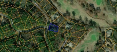 Surrounded by a the Coronado golf course. Near Coronado Lake and on Coronado Golf Course in Arkansas - for sale on GolfHomes.com, golf home, golf lot