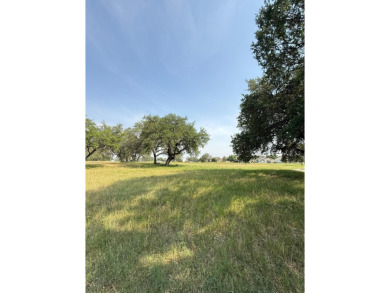 Choice, easily buildable golf course lot in Barton Creek on Palmer Lakeside At Barton Creek in Texas - for sale on GolfHomes.com, golf home, golf lot