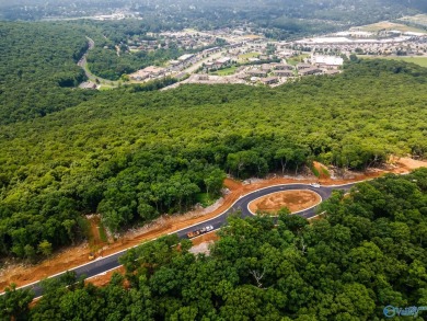 AWESOME LOT w/ PAID CAPITALIZATION FEE & INCREDIBLE VIEW-Come on The Ledges Country Club in Alabama - for sale on GolfHomes.com, golf home, golf lot