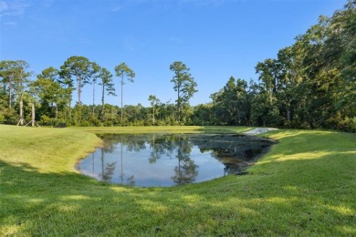 Stunning home within Amelia National, a resort style golf course on Amelia National Golf and Country Club in Florida - for sale on GolfHomes.com, golf home, golf lot