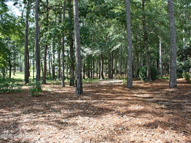 Large homesite that has Nature & Golf Views, located in a on Ocean Ridge Plantation in North Carolina - for sale on GolfHomes.com, golf home, golf lot