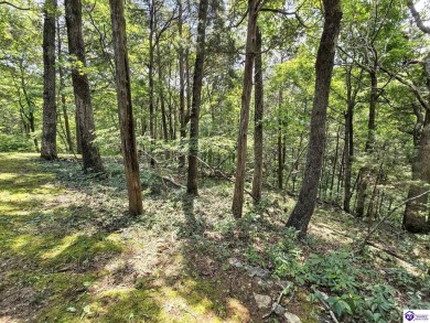 Discover this remarkable Lindal Cedar Home, thoughtfully crafted on Doe Valley Country Club in Kentucky - for sale on GolfHomes.com, golf home, golf lot