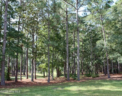 Large homesite that has Nature & Golf Views, located in a on Ocean Ridge Plantation in North Carolina - for sale on GolfHomes.com, golf home, golf lot