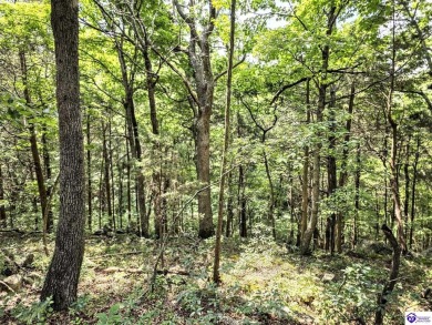 Discover this remarkable Lindal Cedar Home, thoughtfully crafted on Doe Valley Country Club in Kentucky - for sale on GolfHomes.com, golf home, golf lot