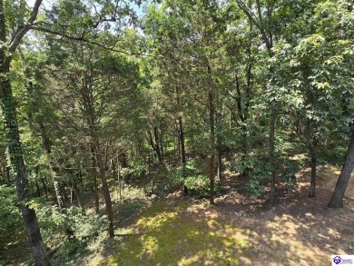 Discover this remarkable Lindal Cedar Home, thoughtfully crafted on Doe Valley Country Club in Kentucky - for sale on GolfHomes.com, golf home, golf lot
