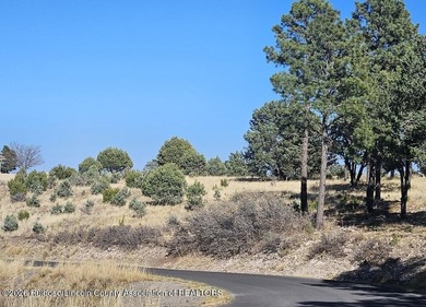 Build your dream home on this exceptional golf course lot on  in New Mexico - for sale on GolfHomes.com, golf home, golf lot