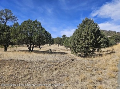 Build your dream home on this large valley golf course lot in on  in New Mexico - for sale on GolfHomes.com, golf home, golf lot