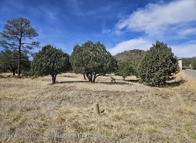 Build your dream home on this large valley golf course lot in on  in New Mexico - for sale on GolfHomes.com, golf home, golf lot