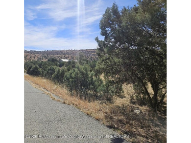 Build your dream home on this large valley golf course lot in on  in New Mexico - for sale on GolfHomes.com, golf home, golf lot