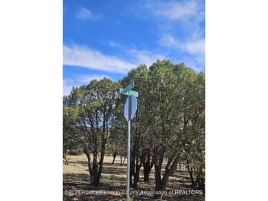 Build your dream home on this large valley golf course lot in on  in New Mexico - for sale on GolfHomes.com, golf home, golf lot