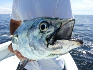 Price Correction reflecting the current Market Conditions~ One on Rotonda Golf and Country Club - Long Marsh  in Florida - for sale on GolfHomes.com, golf home, golf lot