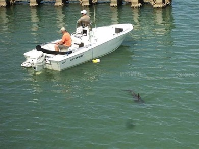 Price Correction reflecting the current Market Conditions~ One on Rotonda Golf and Country Club - Long Marsh  in Florida - for sale on GolfHomes.com, golf home, golf lot