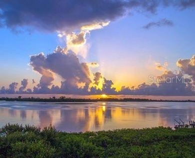 Price Correction reflecting the current Market Conditions~ One on Rotonda Golf and Country Club - Long Marsh  in Florida - for sale on GolfHomes.com, golf home, golf lot