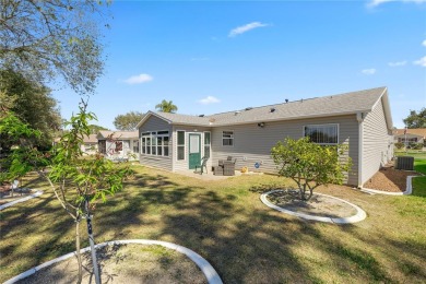 Charming *Turnkey* home with Private Backyard  Enclosed Lanai on Glenview Championship Golf and Country Club in Florida - for sale on GolfHomes.com, golf home, golf lot