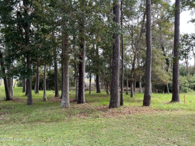 LOOK! This is a Rare Find! A Marsh front homesite in an amenity on Lockwood Folly Country Club in North Carolina - for sale on GolfHomes.com, golf home, golf lot