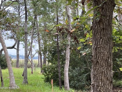 LOOK! This is a Rare Find! A Marsh front homesite in an amenity on Lockwood Folly Country Club in North Carolina - for sale on GolfHomes.com, golf home, golf lot