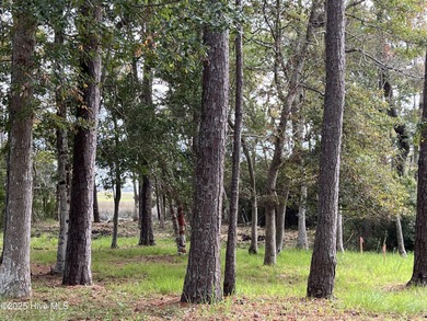LOOK! This is a Rare Find! A Marsh front homesite in an amenity on Lockwood Folly Country Club in North Carolina - for sale on GolfHomes.com, golf home, golf lot