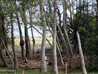 LOOK! This is a Rare Find! A Marsh front homesite in an amenity on Lockwood Folly Country Club in North Carolina - for sale on GolfHomes.com, golf home, golf lot