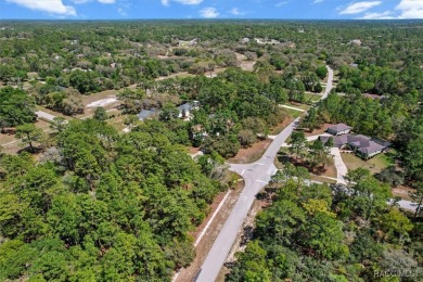 Welcome to 3563 W Blossom Dr-the ultimate haven for car on Pine Ridge Community Golf and Country Club in Florida - for sale on GolfHomes.com, golf home, golf lot