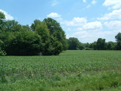 Over 1550 ft of road frontage with Woods, Farm Fields, a Pond on Clover Valley Golf Club in Ohio - for sale on GolfHomes.com, golf home, golf lot