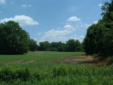 Over 1550 ft of road frontage with Woods, Farm Fields, a Pond on Clover Valley Golf Club in Ohio - for sale on GolfHomes.com, golf home, golf lot