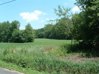 Over 1550 ft of road frontage with Woods, Farm Fields, a Pond on Clover Valley Golf Club in Ohio - for sale on GolfHomes.com, golf home, golf lot