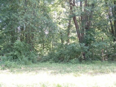 Over 1550 ft of road frontage with Woods, Farm Fields, a Pond on Clover Valley Golf Club in Ohio - for sale on GolfHomes.com, golf home, golf lot
