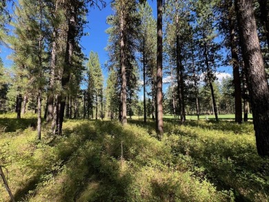 Premier large Golf Front Lot in MeadowCreek Golf Resort on Meadowcreek Golf Resort in Idaho - for sale on GolfHomes.com, golf home, golf lot