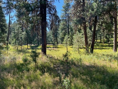 Premier large Golf Front Lot in MeadowCreek Golf Resort on Meadowcreek Golf Resort in Idaho - for sale on GolfHomes.com, golf home, golf lot