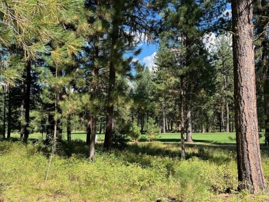 Premier large Golf Front Lot in MeadowCreek Golf Resort on Meadowcreek Golf Resort in Idaho - for sale on GolfHomes.com, golf home, golf lot