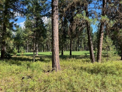 Premier large Golf Front Lot in MeadowCreek Golf Resort on Meadowcreek Golf Resort in Idaho - for sale on GolfHomes.com, golf home, golf lot