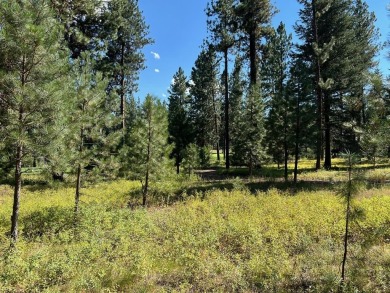 Premier large Golf Front Lot in MeadowCreek Golf Resort on Meadowcreek Golf Resort in Idaho - for sale on GolfHomes.com, golf home, golf lot