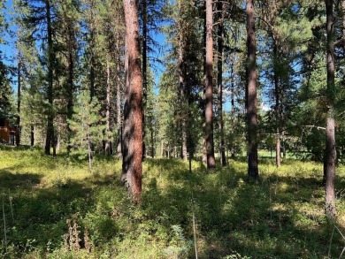 Premier large Golf Front Lot in MeadowCreek Golf Resort on Meadowcreek Golf Resort in Idaho - for sale on GolfHomes.com, golf home, golf lot