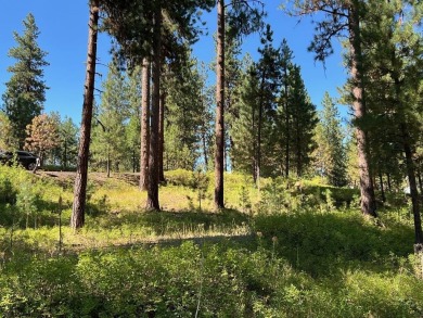 Premier large Golf Front Lot in MeadowCreek Golf Resort on Meadowcreek Golf Resort in Idaho - for sale on GolfHomes.com, golf home, golf lot