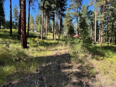 Premier large Golf Front Lot in MeadowCreek Golf Resort on Meadowcreek Golf Resort in Idaho - for sale on GolfHomes.com, golf home, golf lot